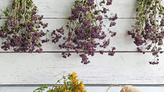 How to Dry Flowers – The Air Drying Method