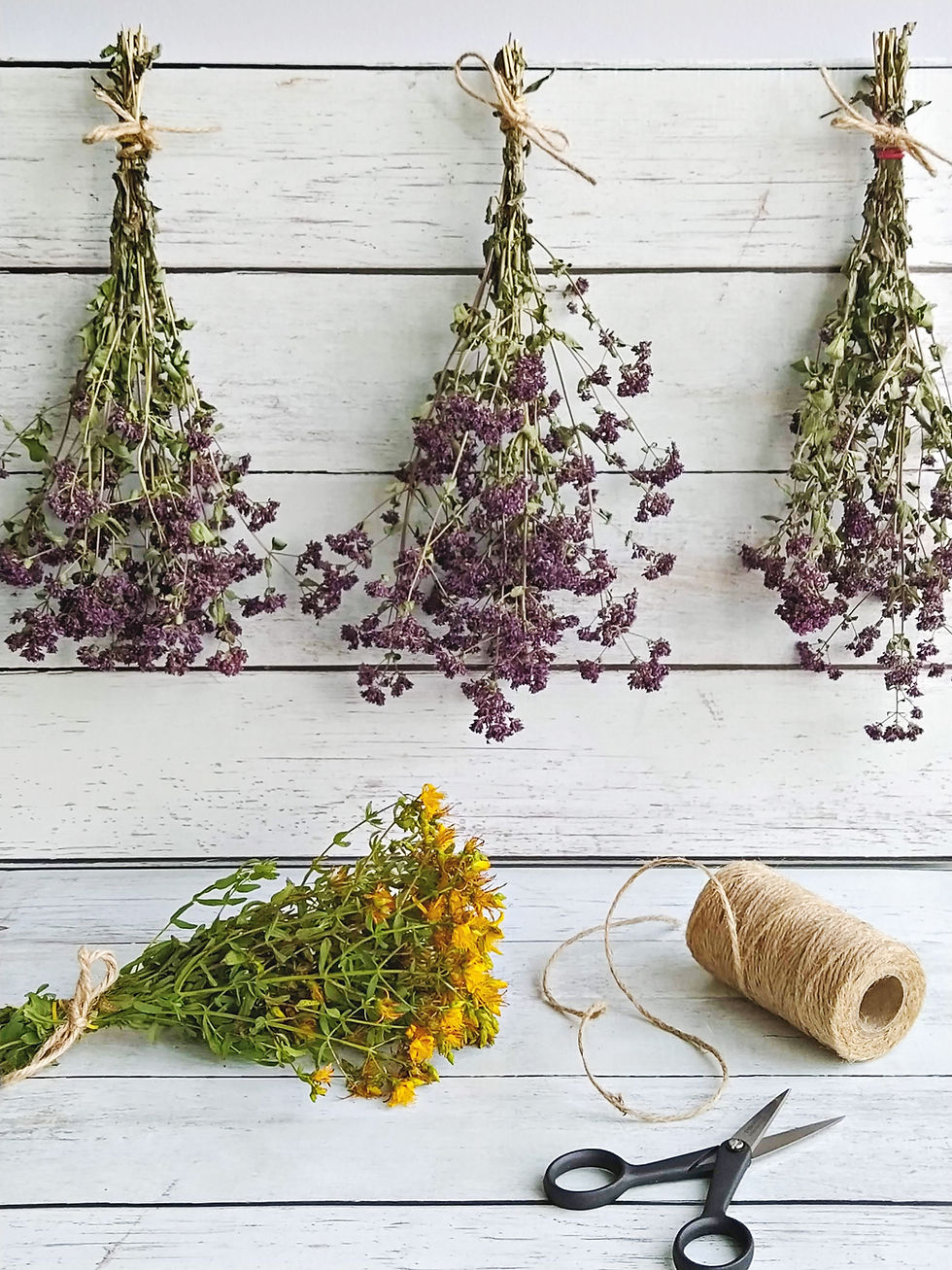 Flowers tied and hung showing the correct way to dry flowers and foliage