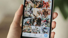 The Great Instagram Purge: The Reason Your Follower Count Dropped