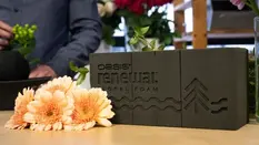 OASIS® Renewal™ Floral Foam - FAQs