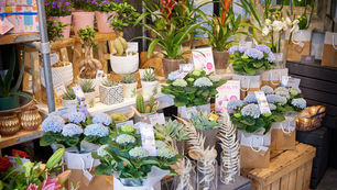 First Impressions That Sell: Transform Your Shop Atmosphere