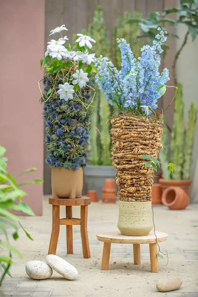2 tall desert trends designs