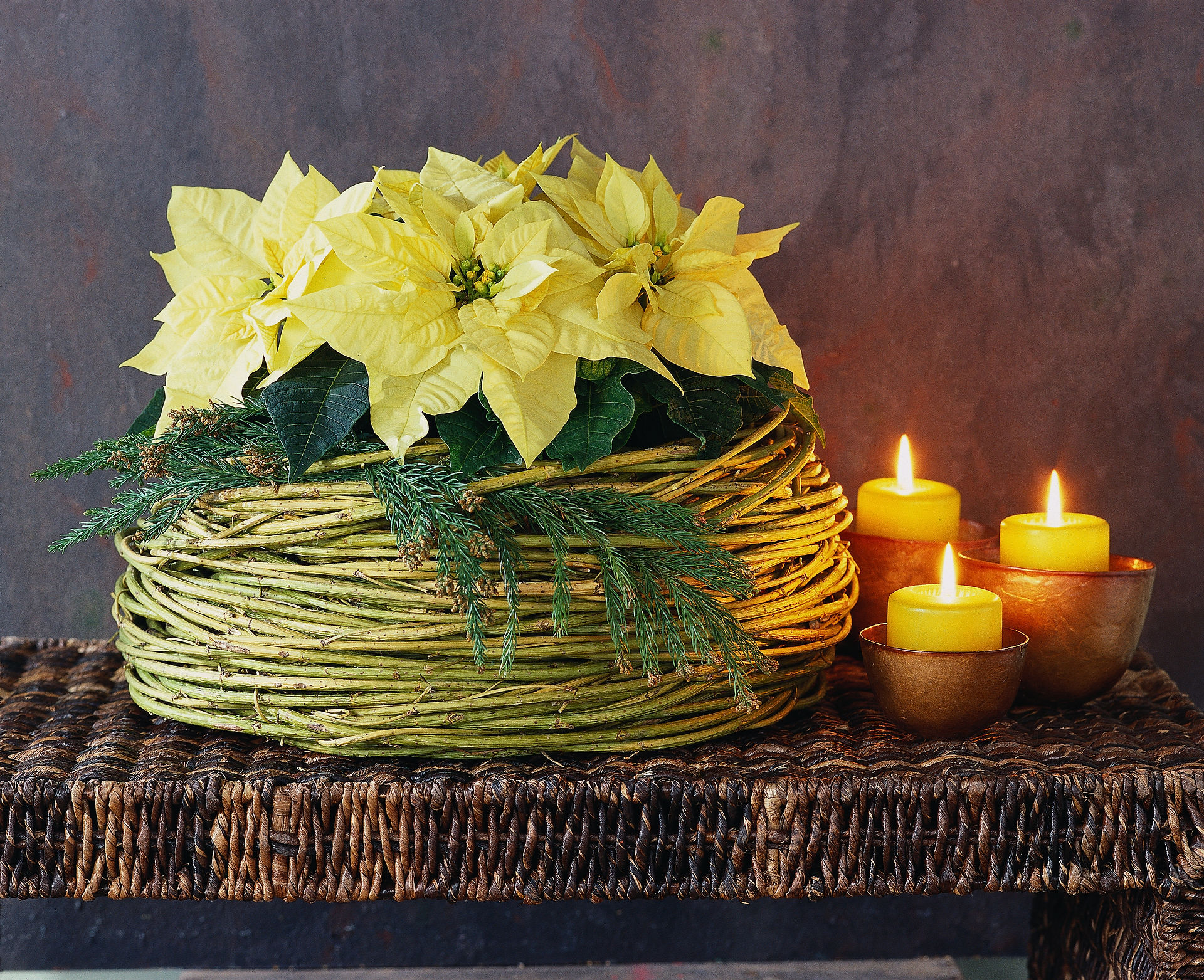 Poinsettia with candles