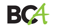 Berkshire College – BCA
