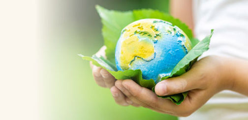 sustainability2.jpg