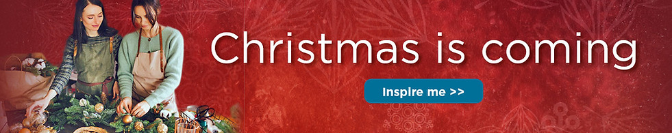 FTC-Christmas-Banner.v3.jpg