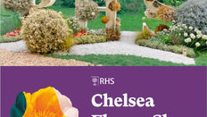 RHS Chelsea Flower Show 2024